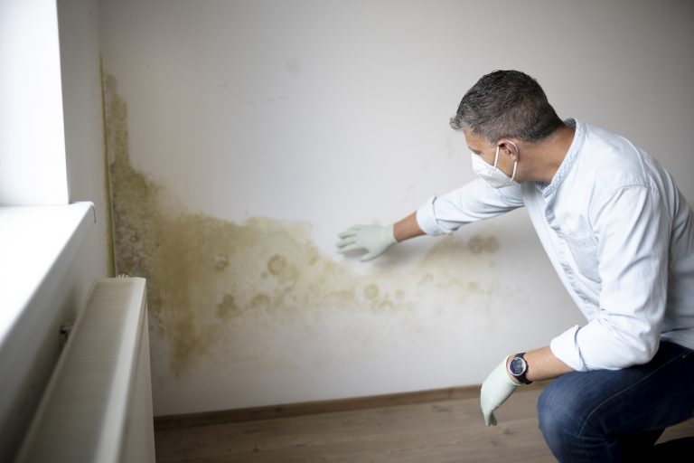 rising damp brighton